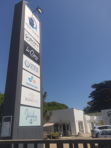 Buddhi Center Consulta Médica