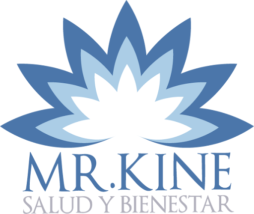 MR. KINE - BULNES