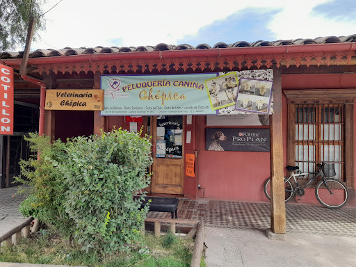 Veterinaria Chepica