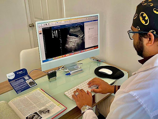 Ecodiagnostic Ecografías