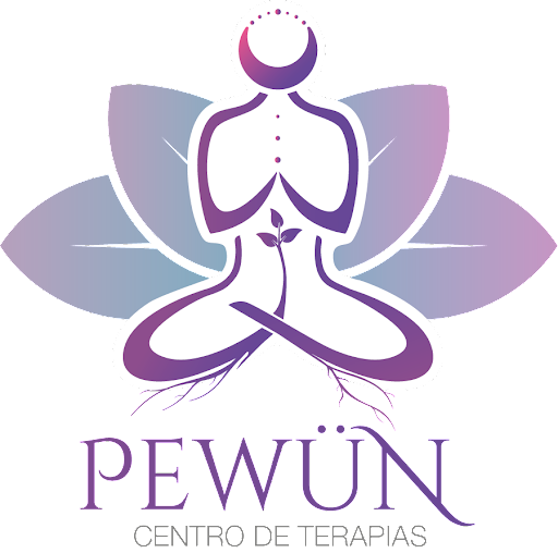 SERVICIOS MEDICOS PEWUN SPA