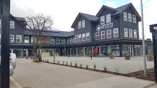 Centro Médico Frutillar