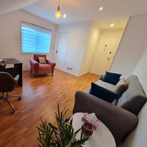 Consulta Psicológica Puerto Varas