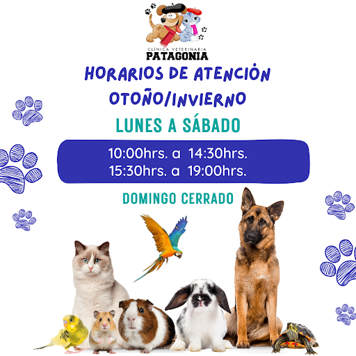 Clinica Veterinaria Patagonia