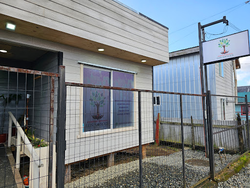 Centro Medico Los Sauces