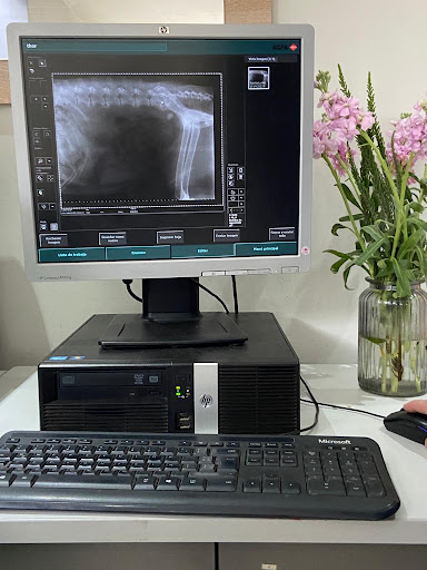 Veterinaria Clinicalvet Curacavi