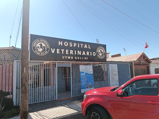 HOSPITAL VETERINARIO Uywa Qulliri, Pozo Almonte